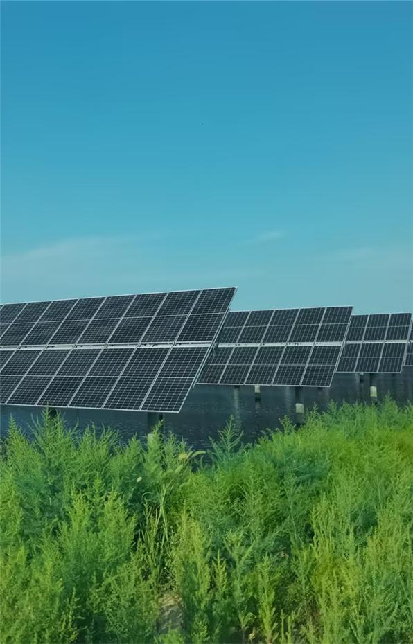 山东潍坊136MW地面光伏电站 (4)_副本